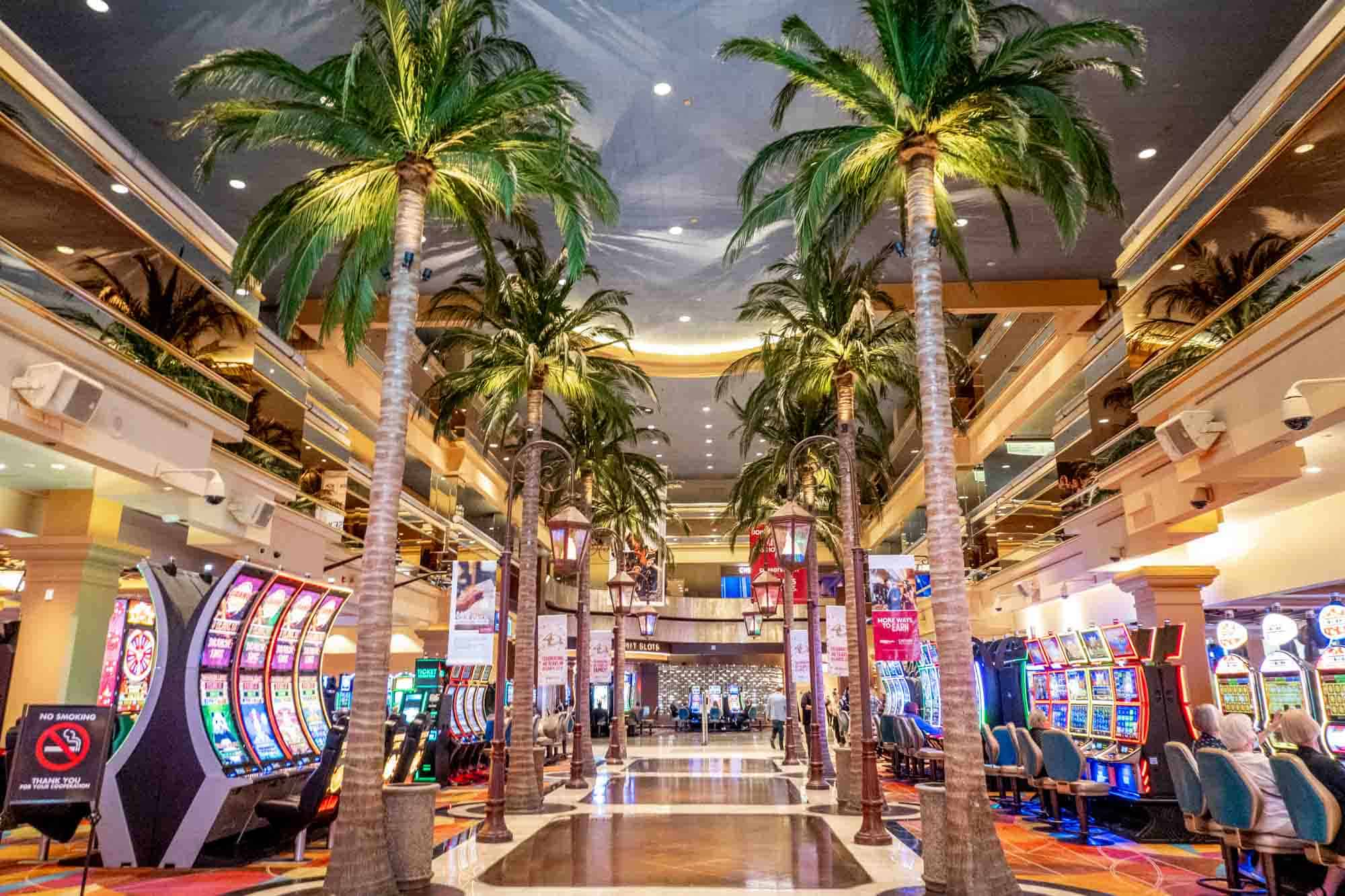 Slot Makinesi Terimleri: Yeni Oyuncular İçin Kılavuz